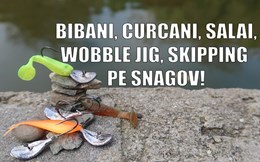 Curcanii, bibanii, salaii si wobble jig! Skipping pe lacul Snagov.